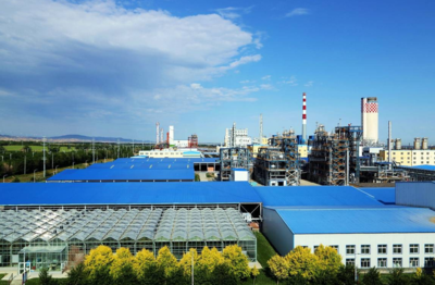 新疆心連心公司綠色制造系統集成項目通過國家工信部驗收